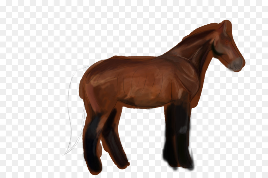 Mustang，Potro PNG