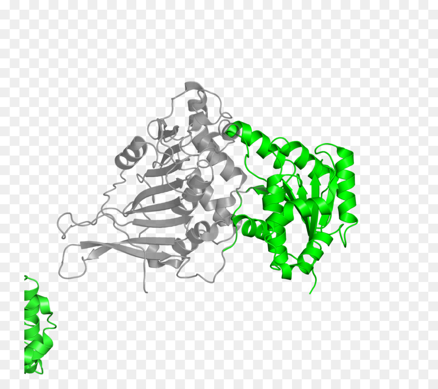 Estrutura Proteica，Molécula PNG