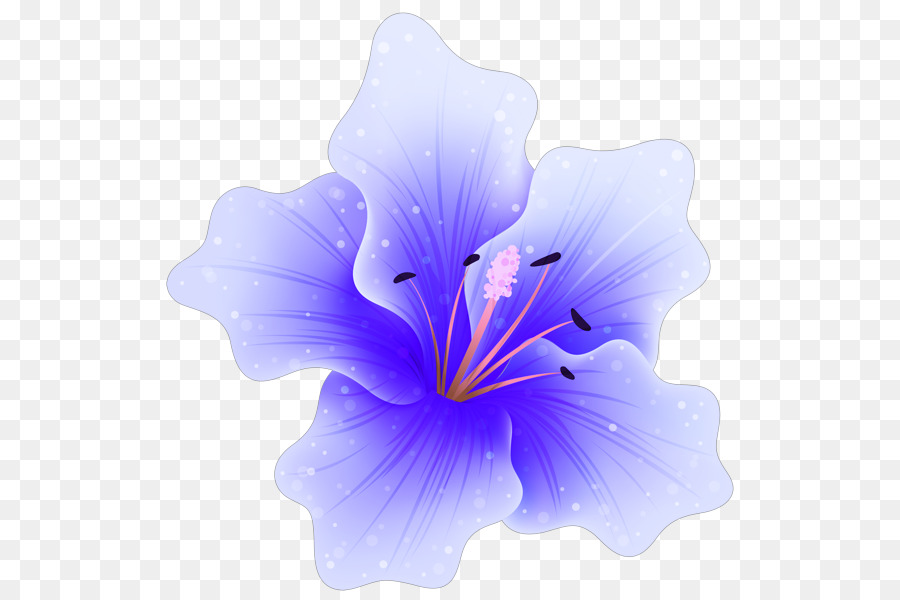 Flor Azul，Florescer PNG