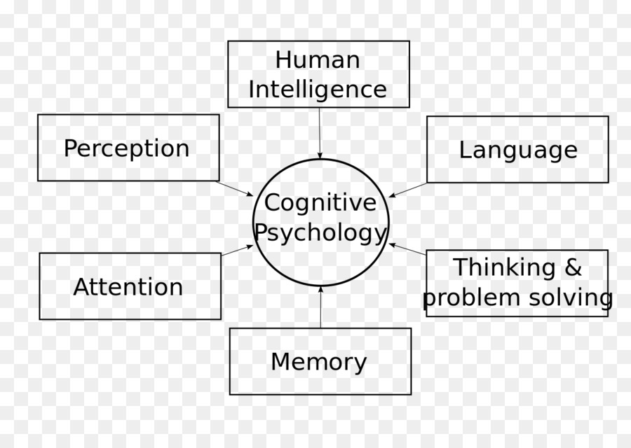 Psicologia Cognitiva，Inteligência PNG