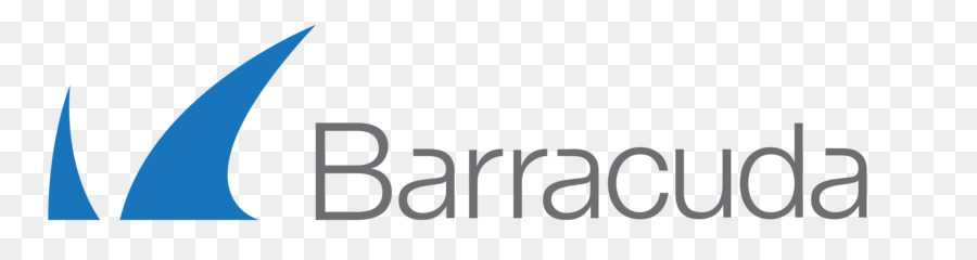 Barracuda Networks，Balanceamento De Carga PNG