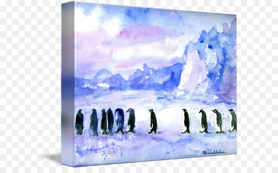 Penguin，Pintura Em Aquarela PNG