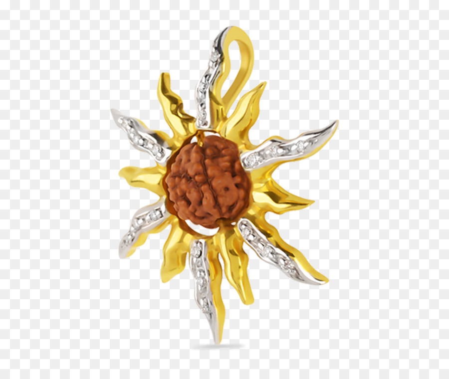 Pingente Rudraksha，Colar PNG