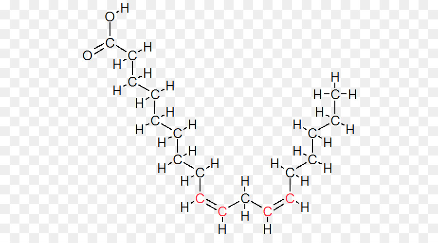 O ácido Linoléico，Gordura Trans PNG