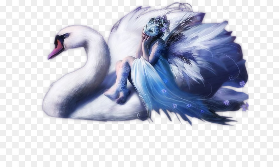 Cisne，Aves PNG