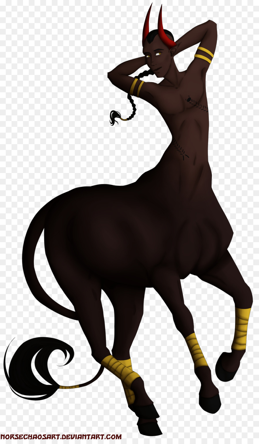 Mustang，Burro PNG