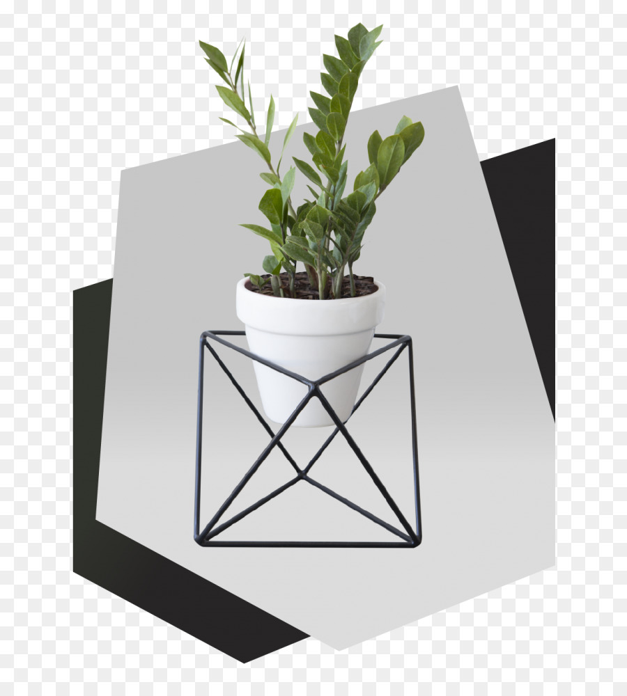 Chacarita Em Buenos Aires，Flowerpot PNG