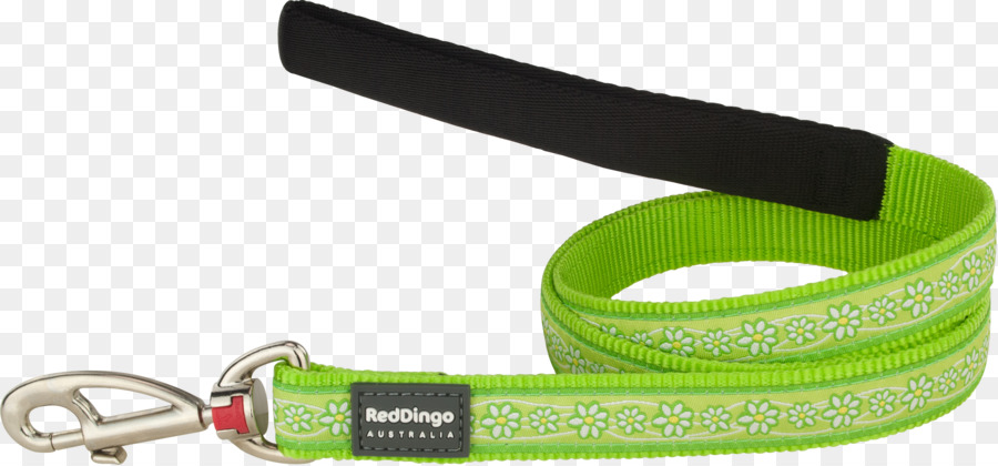 Leash，Cão PNG