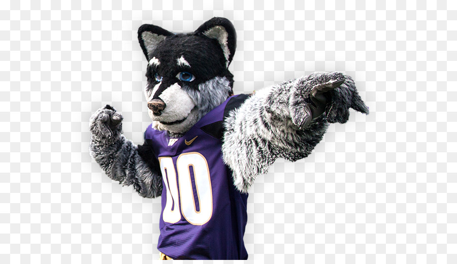 Pele，Mascote PNG