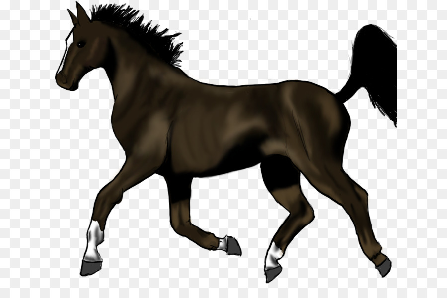 Cavalo Preto，Equino PNG