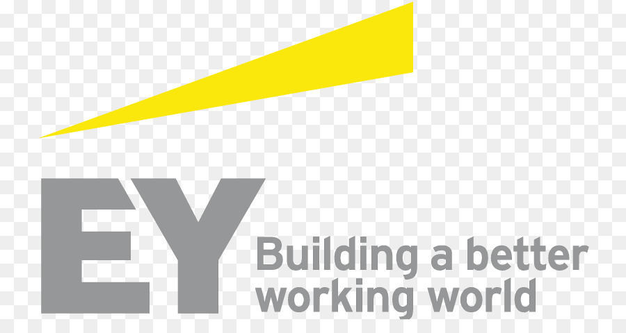 A Ernst Young，Negócios PNG