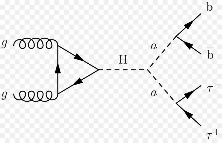 Diagrama De Feynman，Gammaglutamyl Hydrolase Conjugase Folylpolygammaglutamyl Hydrolase PNG