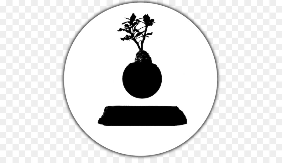 Bonsai，Planta De Casa PNG