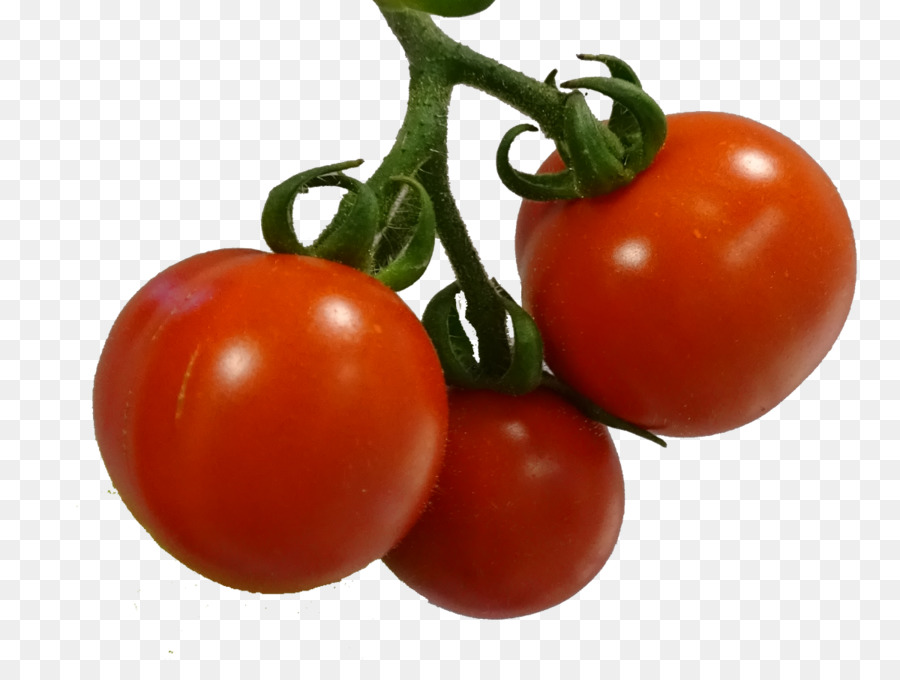 Ameixa Tomate，Bush Tomate PNG