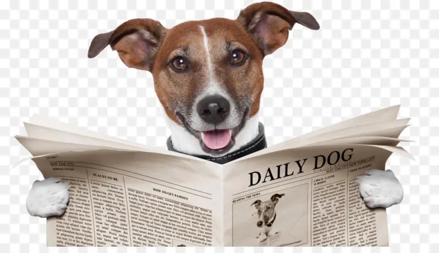 Jornal De Leitura De Cachorro，Bicho De Estimação PNG