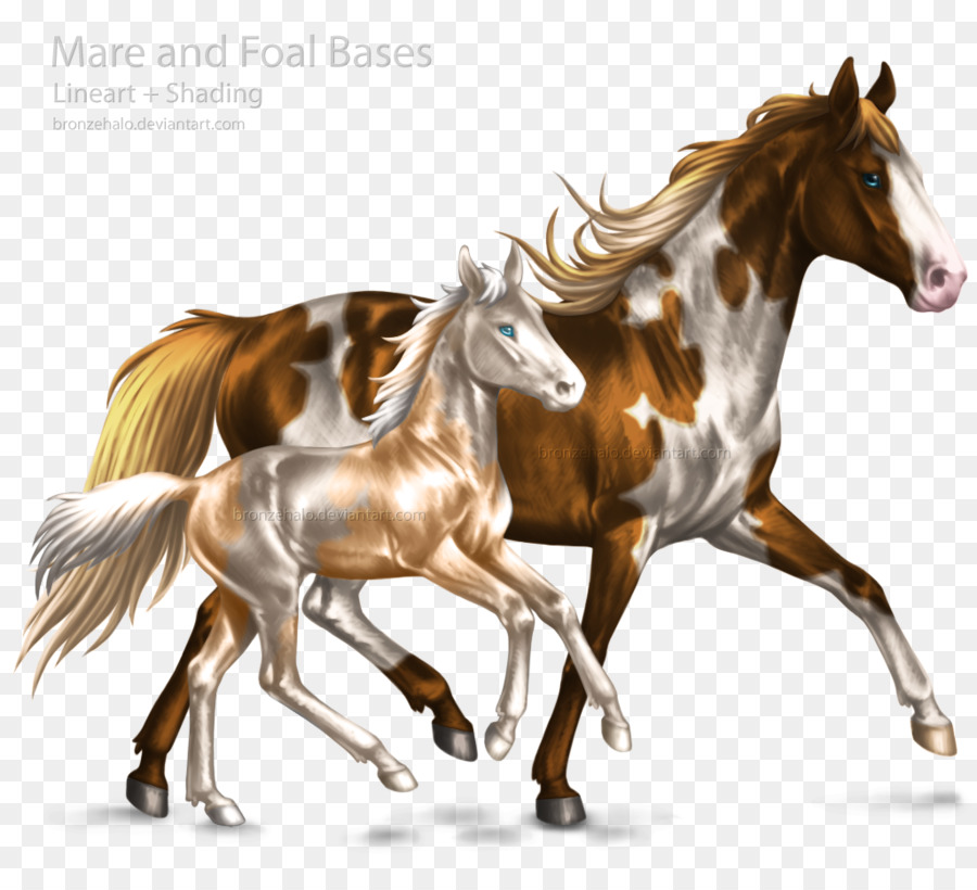 Mare，Potro PNG