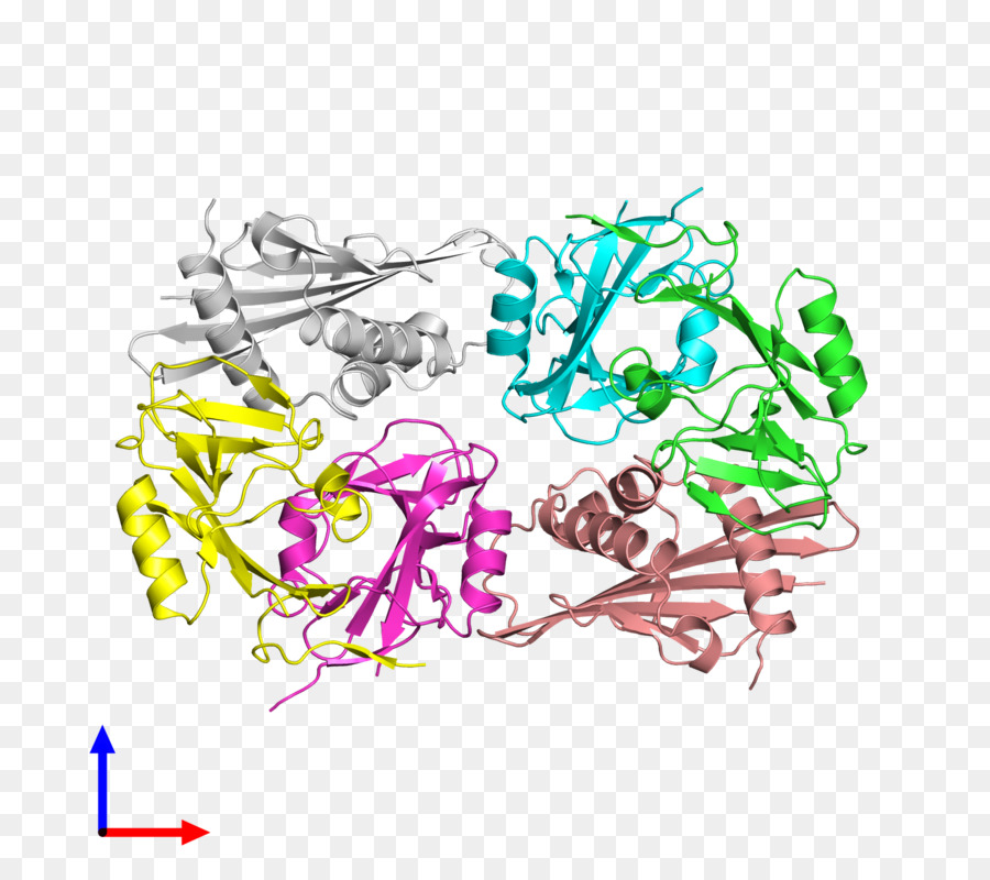Estrutura Proteica，Molécula PNG
