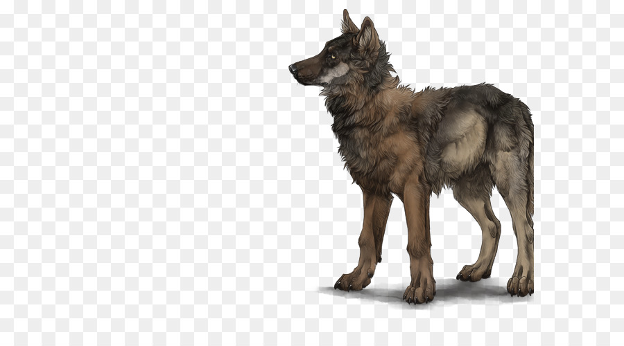 Kunming Wolfdog，Coyote PNG