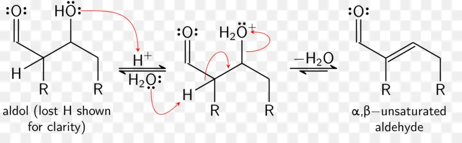 A Reação De Aldol，Aldol Condensação PNG