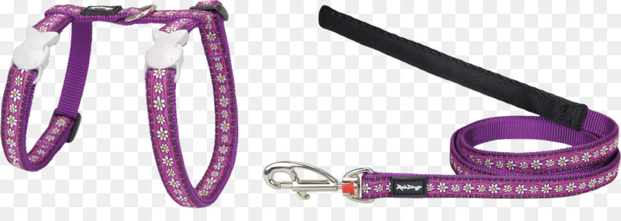 Leash，Gato PNG