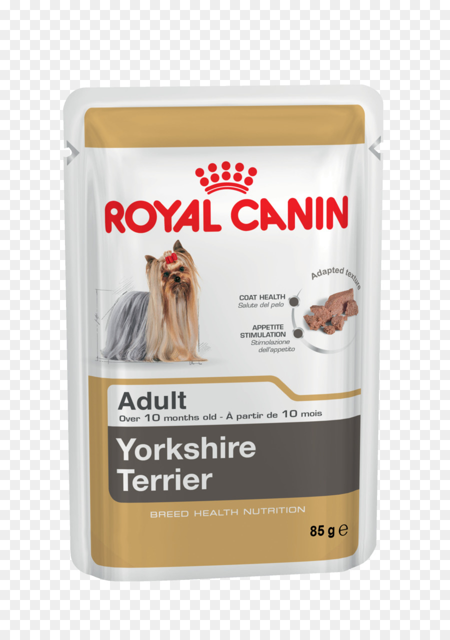 Yorkshire Terrier，Gato PNG