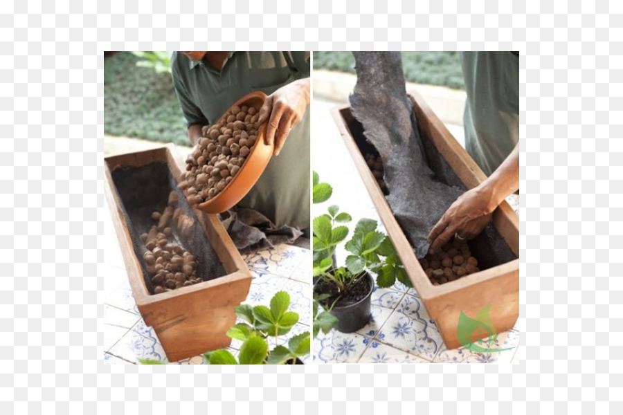 Flowerpot，Jardim PNG