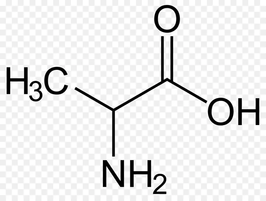 Estrutura Química，Molécula PNG