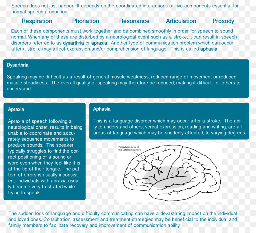 Speechlanguage Patologia，Patologia PNG