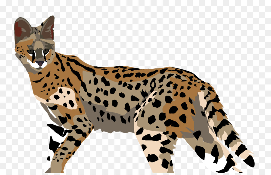 Cheetah，Ocelot PNG