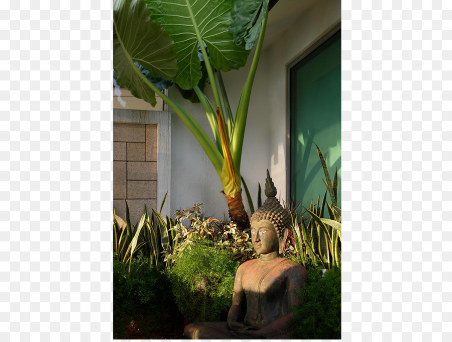 Arecaceae，Flowerpot PNG