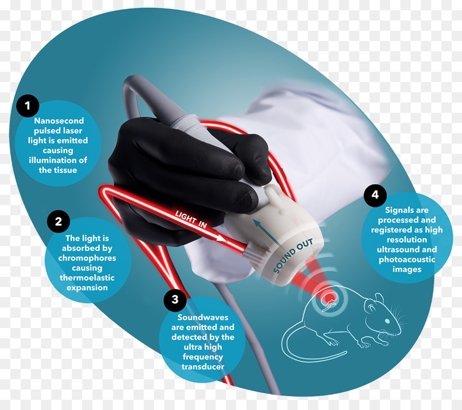 Photoacoustic De Imagem，Visualsonics PNG