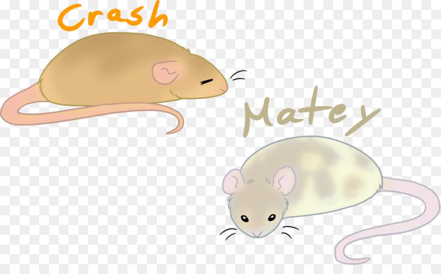 Rat，Gerbil PNG