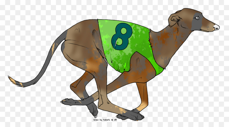 Italian Greyhound，Greyhound PNG