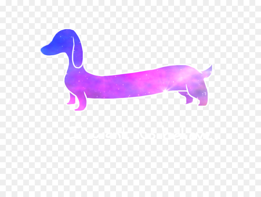 Dachshund，Tshirt PNG