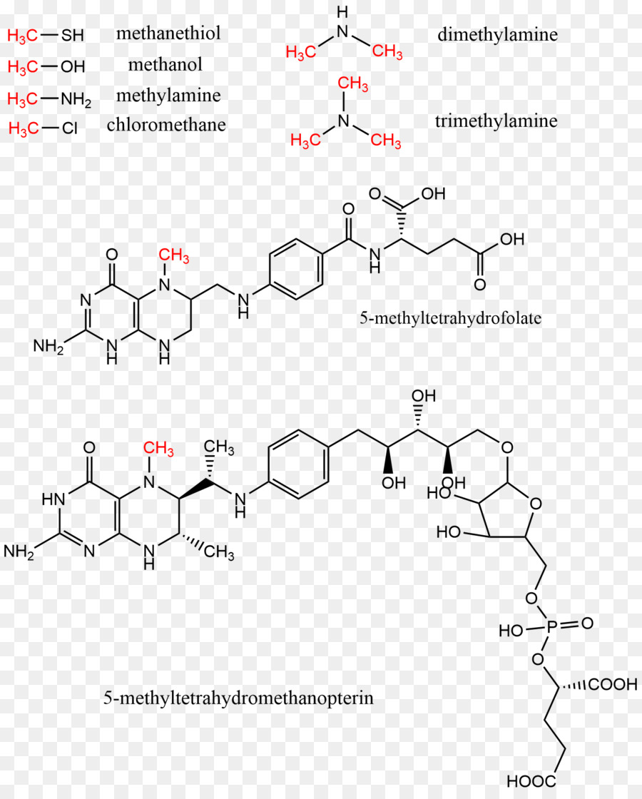 Estrutura Química，Molécula PNG