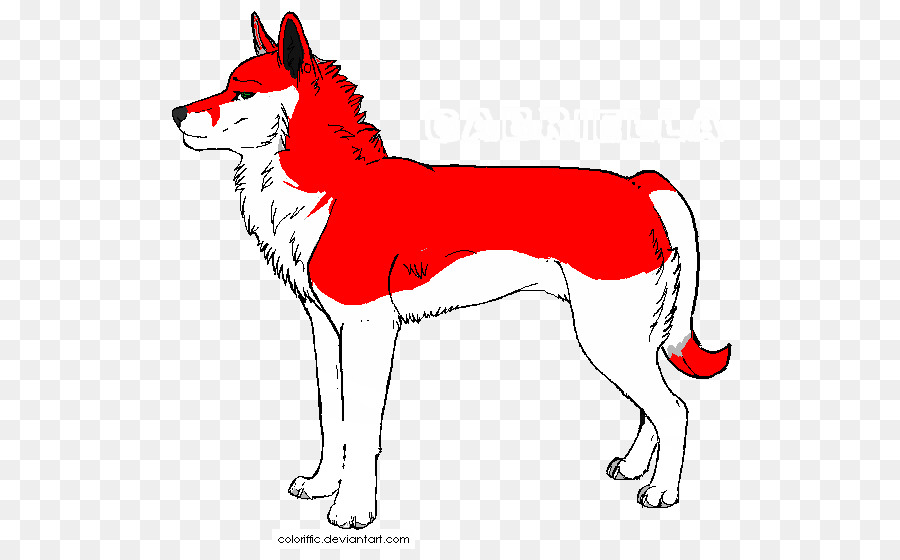 Raça Do Cão，Raposa Vermelha PNG