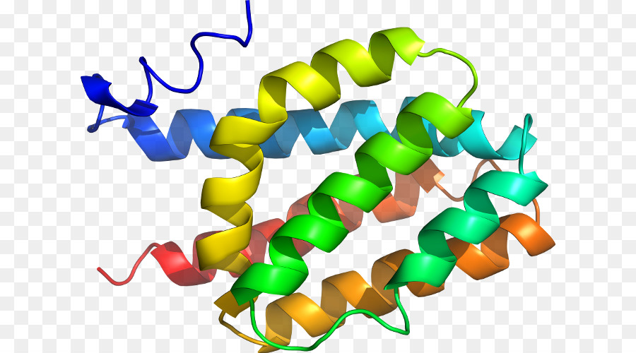 Hélice De Proteína，Molécula PNG