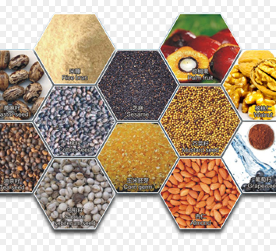 Spice，Caranguejo PNG