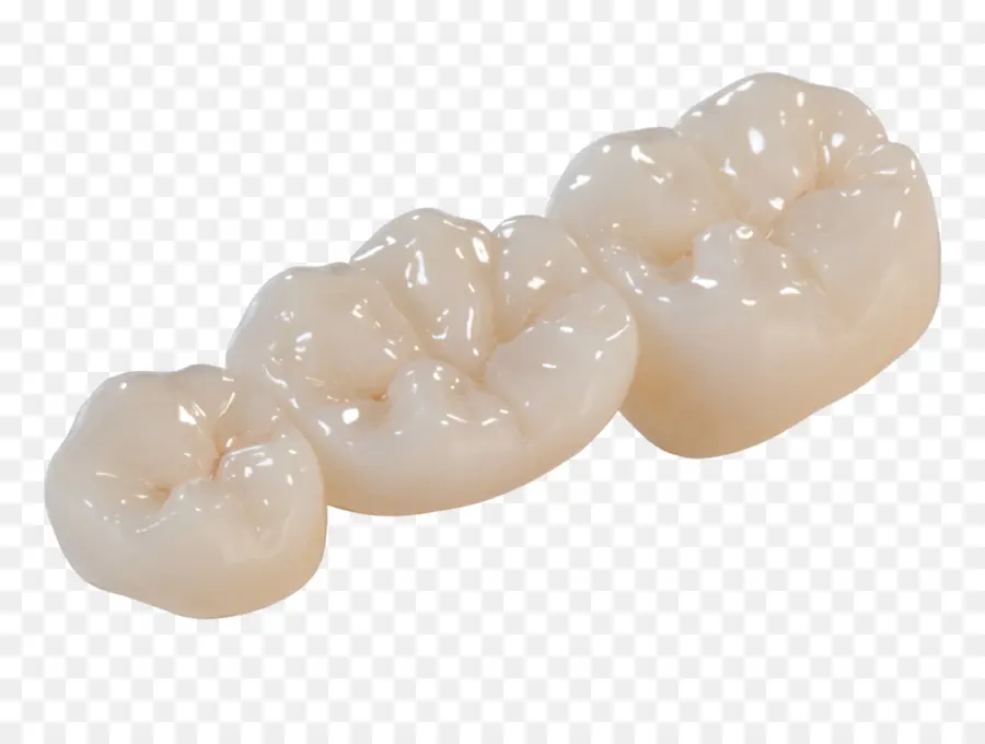 Dentes，Molares PNG