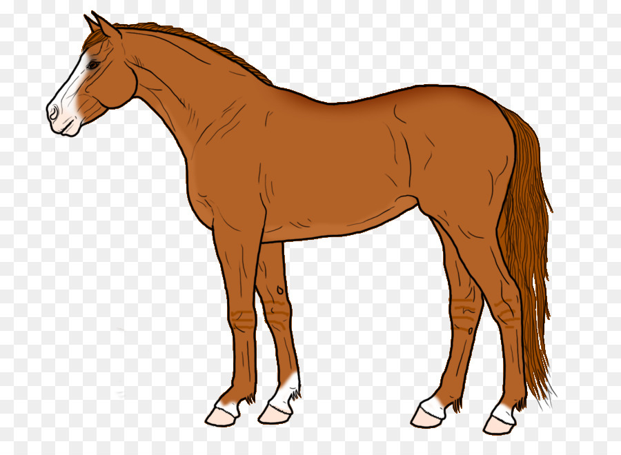 Mustang，Potro PNG