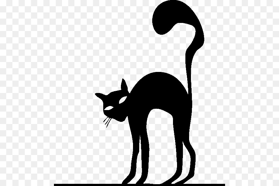 Gato Preto，Felino PNG