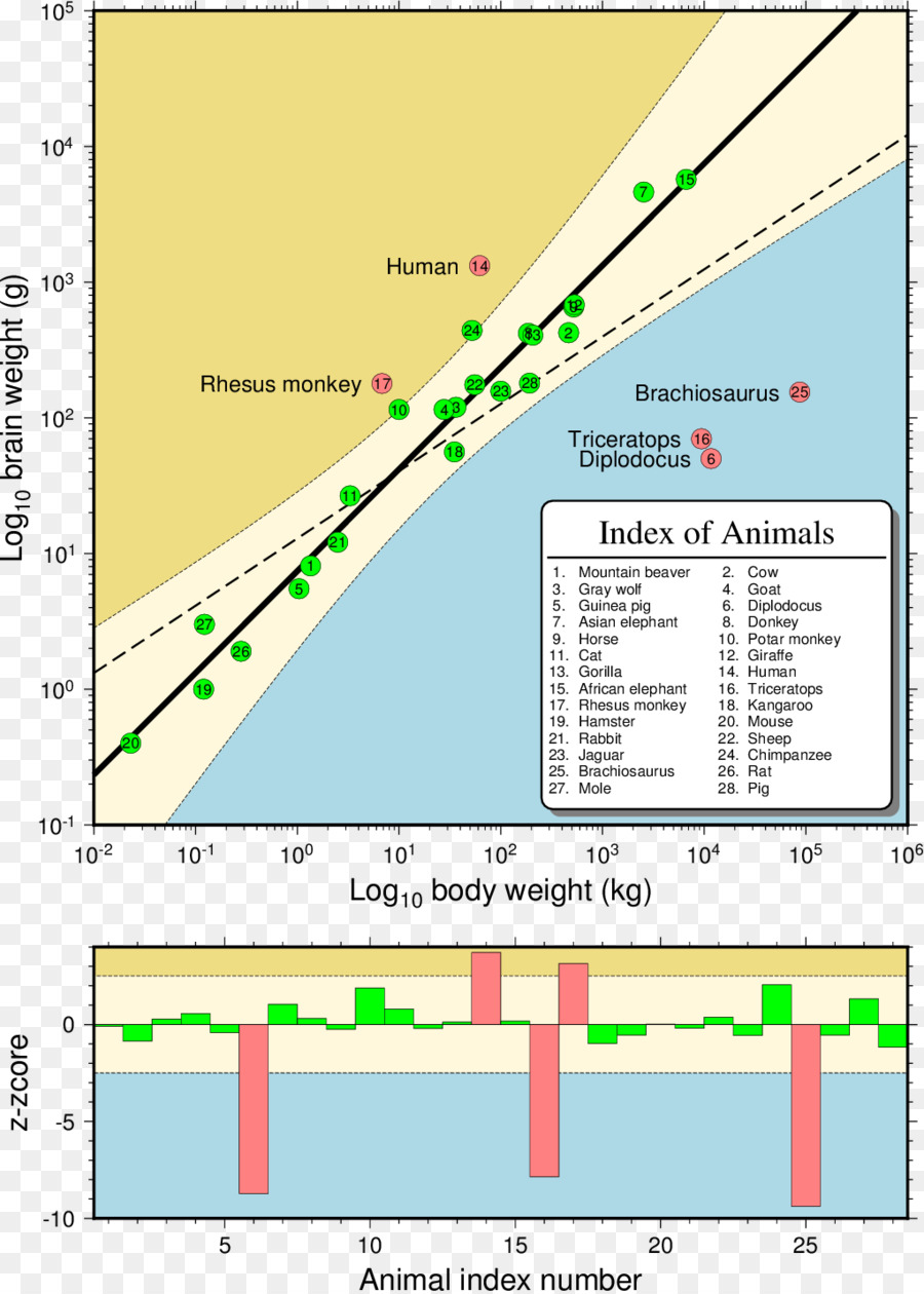 Enredo，Diagrama De Dispersão PNG