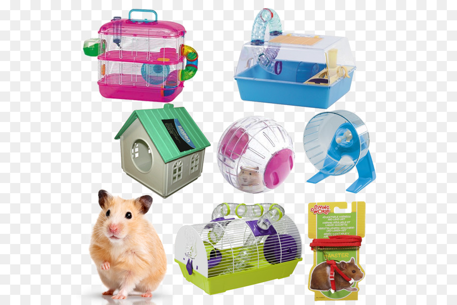 Gaiolas Para Hamsters，Hamster PNG