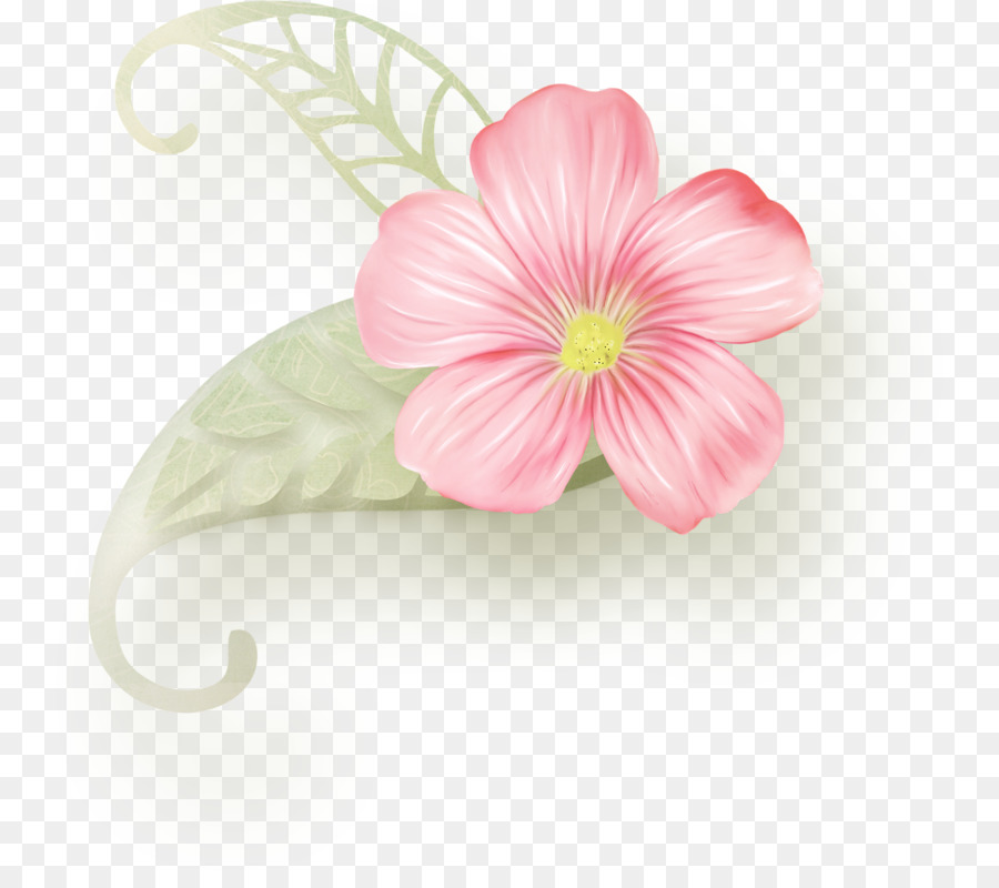 Flor Rosa，Folha PNG