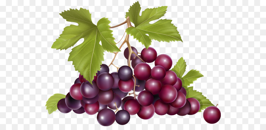 Uvas，Videira PNG