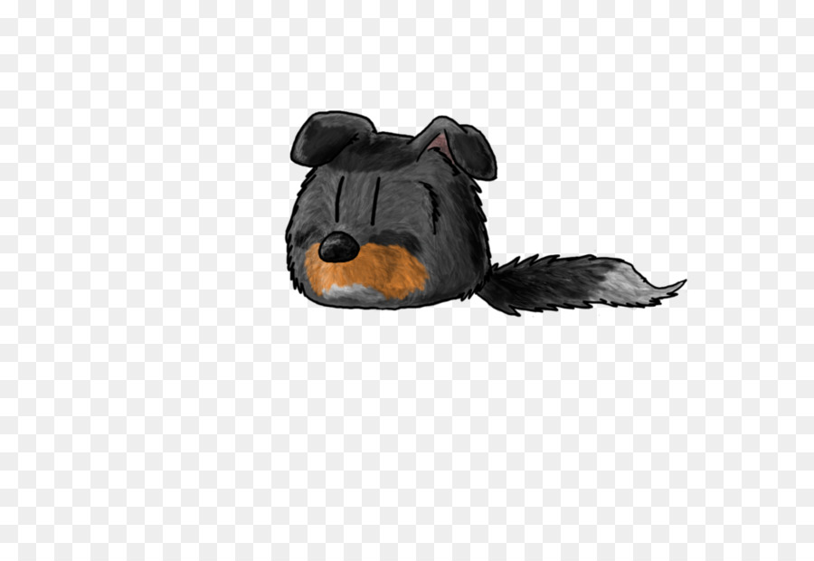 Cão，Sapato PNG