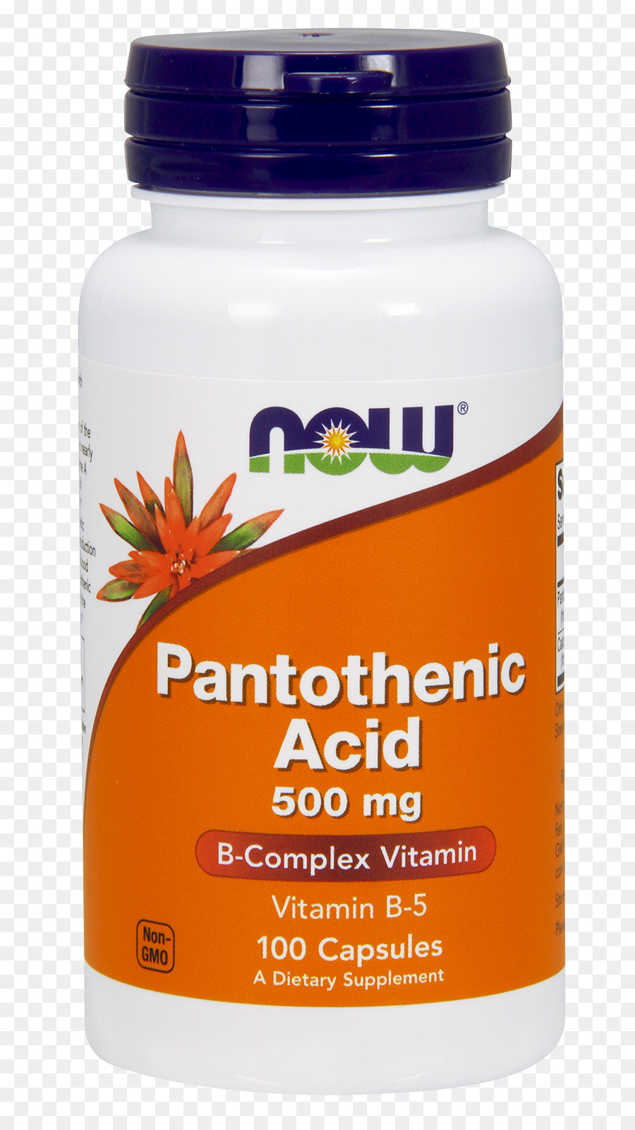 Suplemento Alimentar，O ácido Pantoténico PNG
