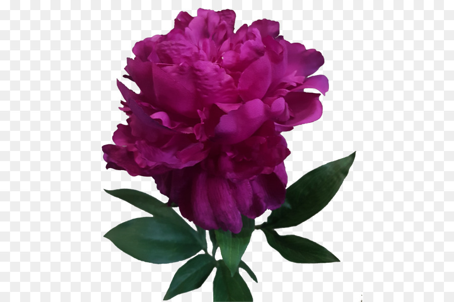 Flores Rosa E Vermelhas，Florescer PNG