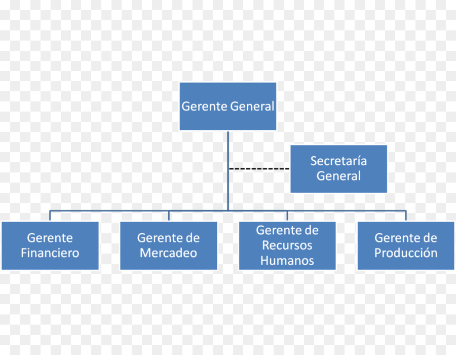 Organização，Gráfico Organizacional PNG