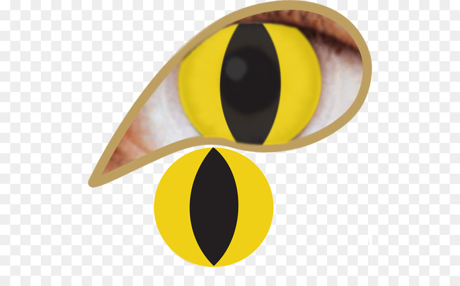 Lentes De Contato，Lente PNG